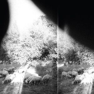 Godspeed You! Black Emperor - Asunder Sweet & Other Distress  LP LP